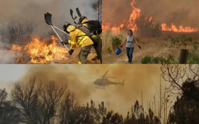 Unlike Any Other Kind Of Fear’: Spain Wildfire Exposes Climate-Driven Vulnerabilities